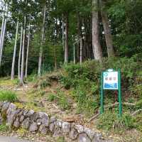 兵庫県！ユニトピア篠山で森林浴