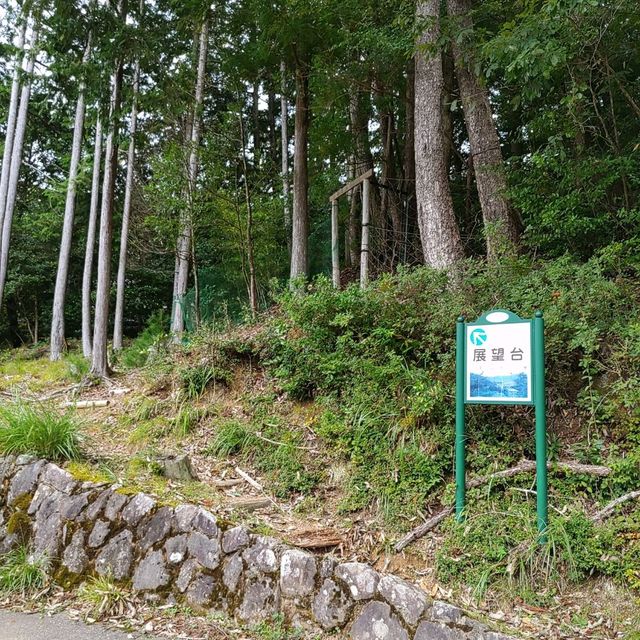 兵庫県！ユニトピア篠山で森林浴