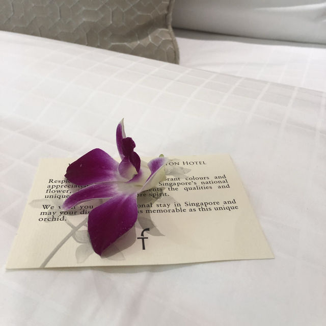 經典傳承：新加坡富麗敦酒店