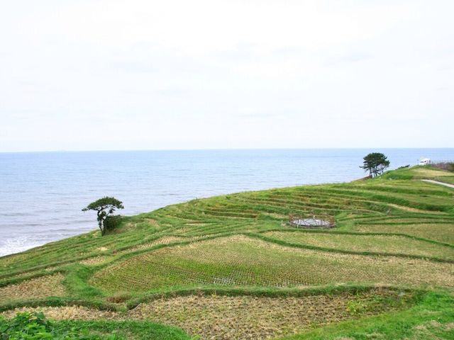 【輪島】日本一の棚田！白米千枚田をご紹介