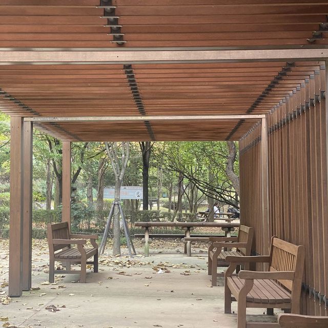 Best botanical garden in Seoul