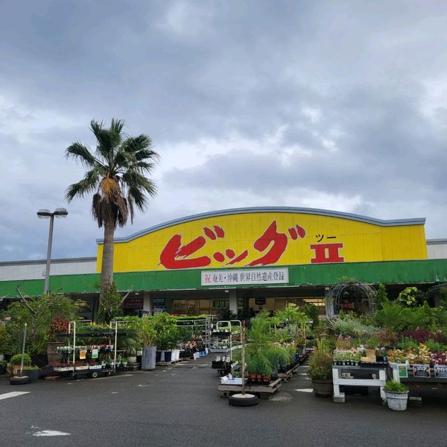 【奄美大島】ビックⅡ