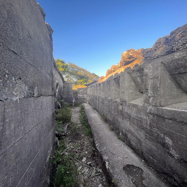 魔鬼山，探軍事古蹟維港靚景，有特色的歷史行山路線