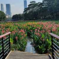 Charming Bijiashan Park Shenzhen 