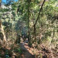 The BoJinJiaShan Hiking Trial