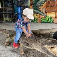 Good place to watch crocodile in live