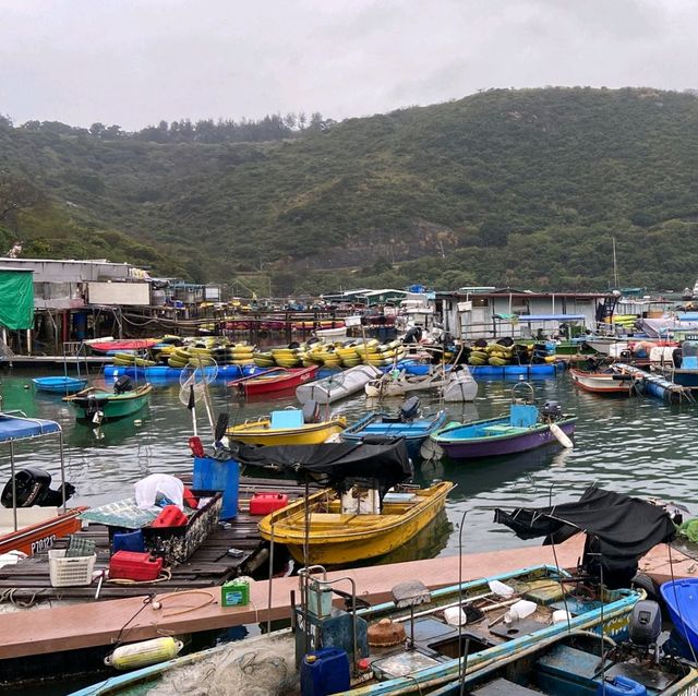 細雨濛濛 , 浪漫遊 , 清水灣 , 布袋澳碼頭！