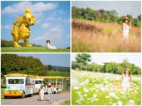 ทริปเชียงราย 20 จุดเช็คอิน กิน เที่ยว ที่พัก 
