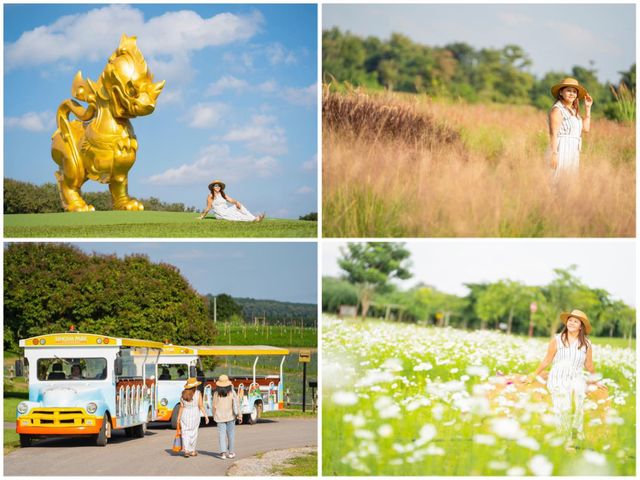 ทริปเชียงราย 20 จุดเช็คอิน กิน เที่ยว ที่พัก 