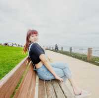 可以花整天的 La Jolla Cove around