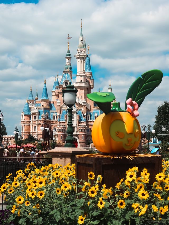 Halloween Arrives at Shanghai Disneyland🎃