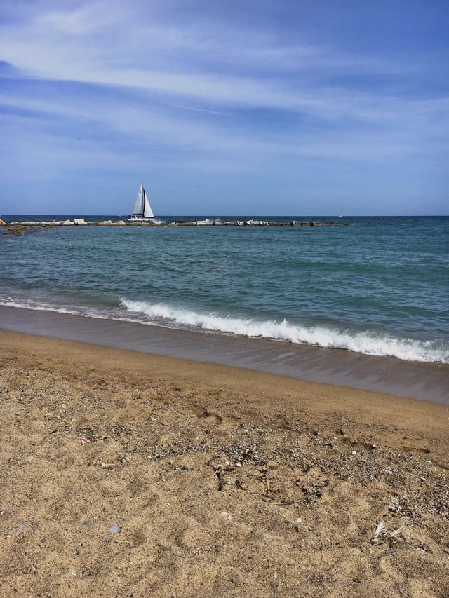 바르셀로나의 해변, 바르셀로네타 해변