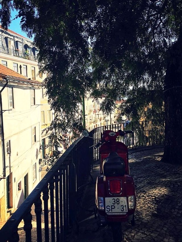 Colourful Lisbon 🇵🇹