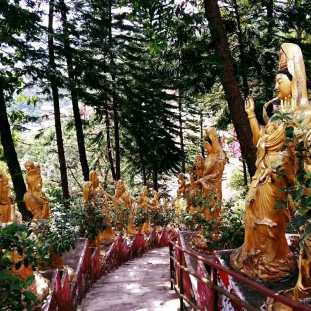 Ten thousand Buddhas！