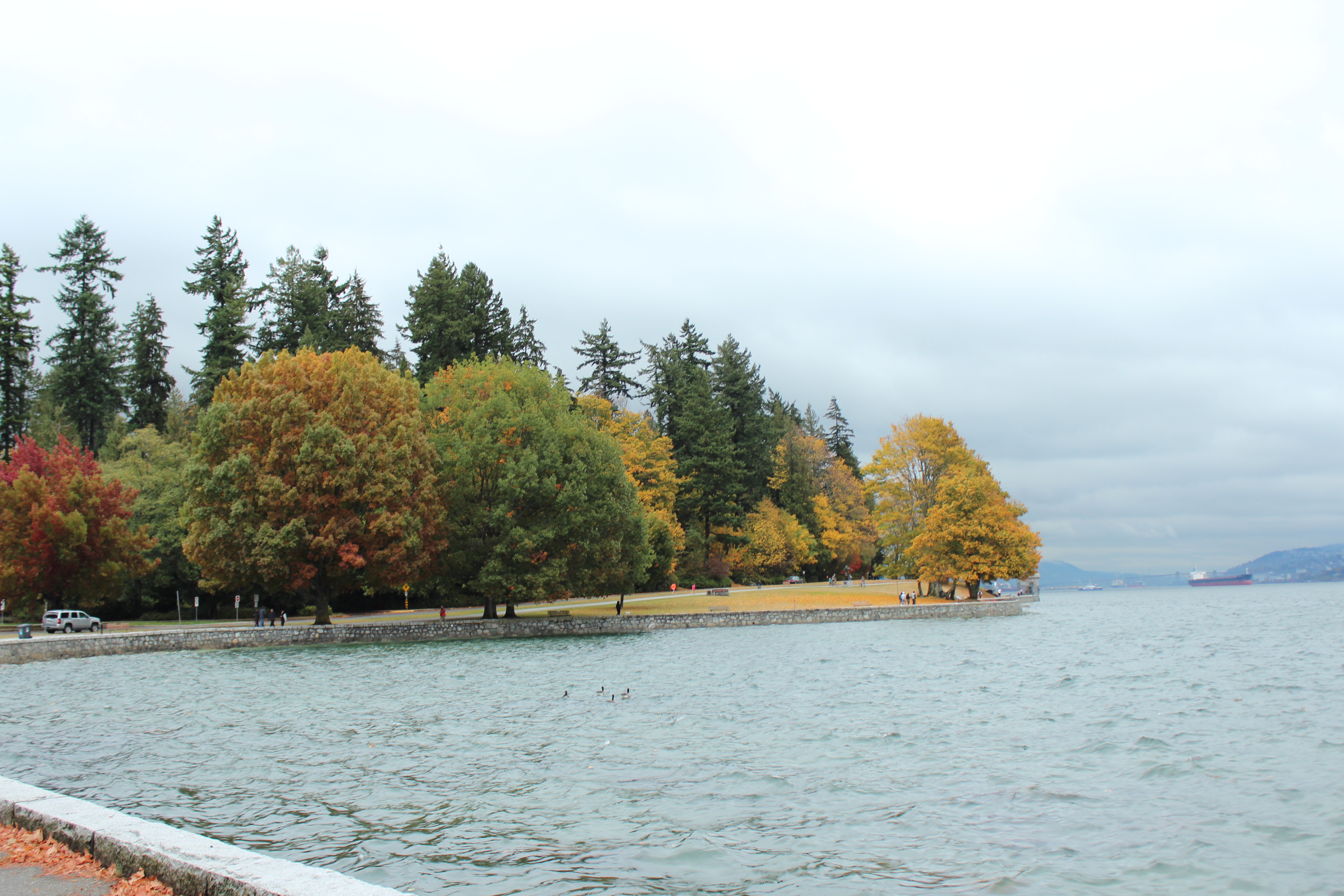 バンクーバー スタンレー パーク の紅葉 Trip Com バンクーバーの旅のブログ