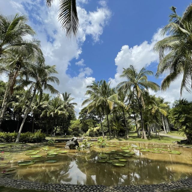 Tropical flowers garden - Xishuangbanna 