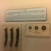 上海博物館 圓方設計 天人合一