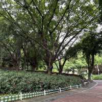 打卡深圳龍華公園