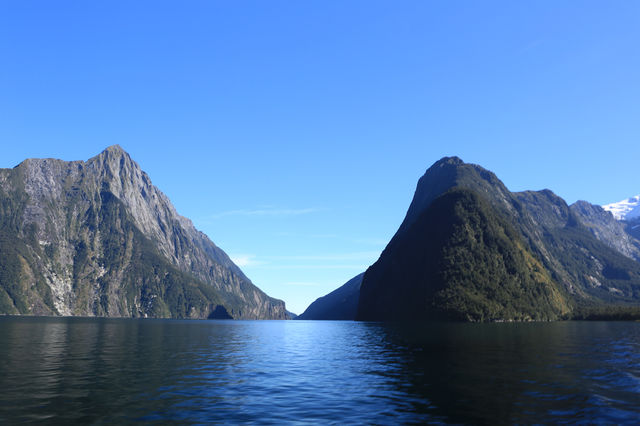 紐西蘭 ｜遊Milford Sound