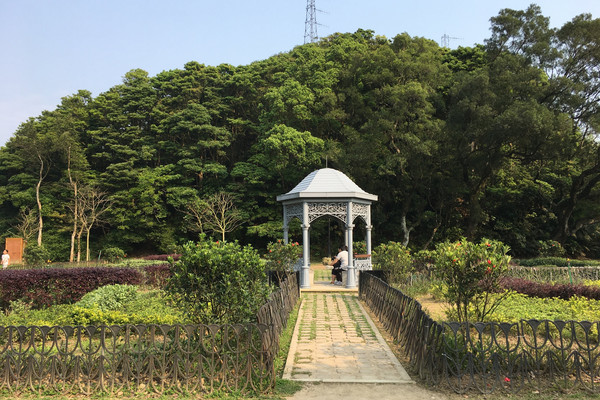 Victoria Peak Garden Trip Com Hong Kong