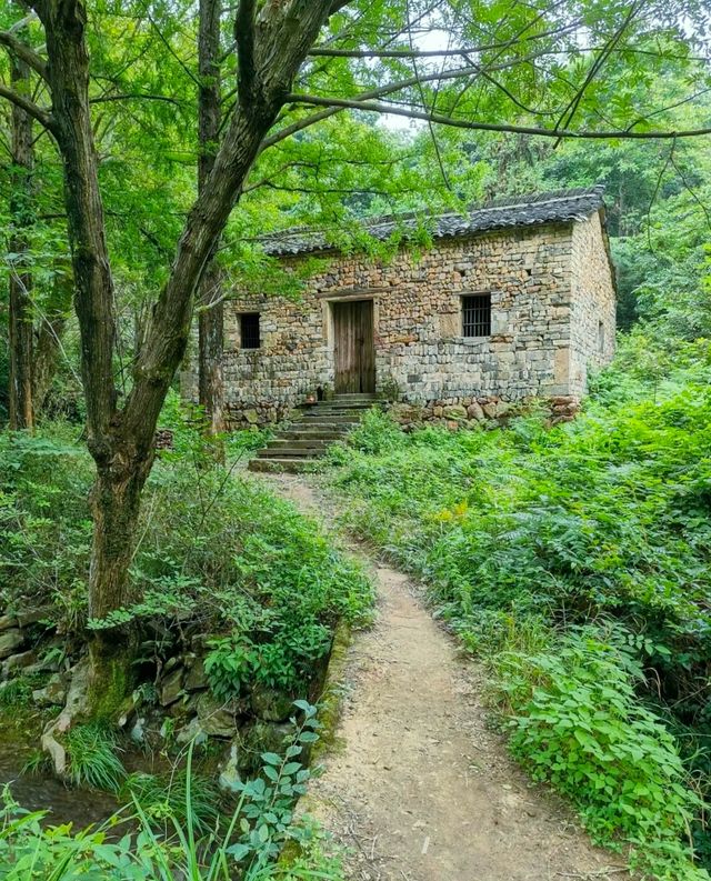 Hidden in the suburbs of Hangzhou, there is a "Little Tianzhu" that not only attracts many celebrities to check in, but also seems like a fairyland.