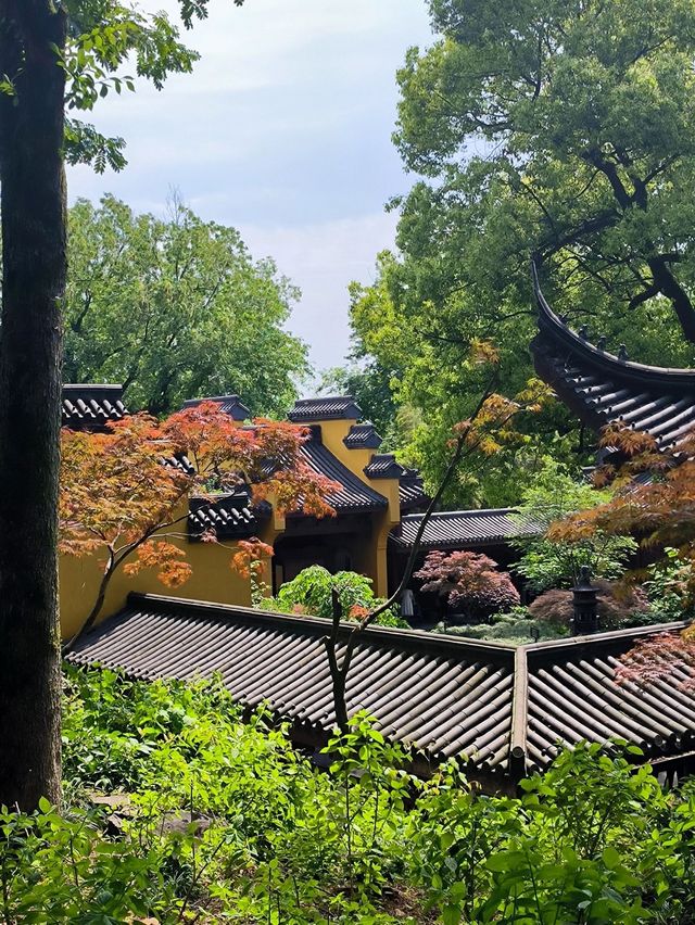 When you come to Hangzhou, you must go and see Lingyin Temple!