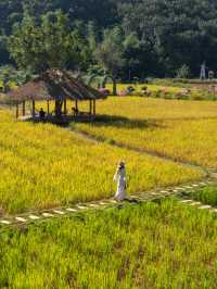 Bali Ubud⁉️ Xishuangbanna Rainforest Hot Spring Hotel is so beautiful.