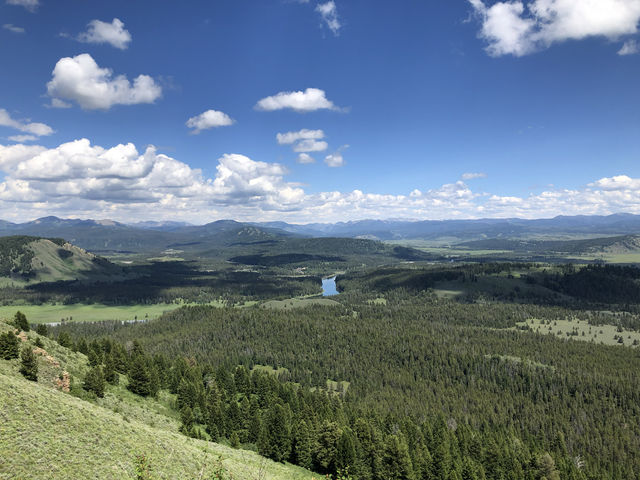 USA | Grand Teton National Park Photo Sharing 3 - Scenery on the Road