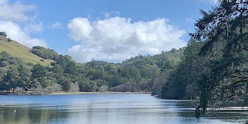 Write & Draw Yourself Home: Writing & Art in Nature (Fairfax) | Lake Lagunitas