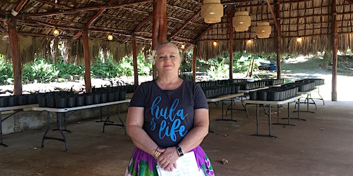(In-Person at KOKA Kalihi) Simple Hula - "You Are My Sunshine" | Keiki O Ka ‘ Āina Family Learning Centers