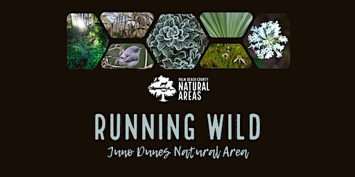 Adventure Awaits - Running Wild 5K Trail Fun Run at Juno Dunes Natural Area | Bert Winters Park