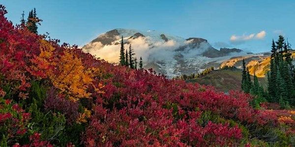 POD01: Organization Design and Development Seminar Training Program | Sheraton Towers Singapore