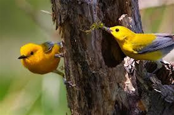 Eco Explorers: Habitat Heroes | Derek Doubleday Arboretum