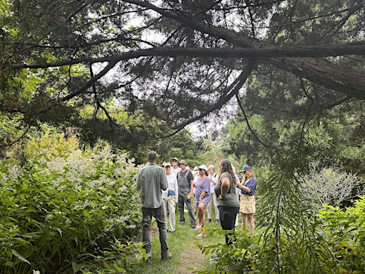 Natives and More: Glover Perennials in the Garden | The Landcraft Garden Foundation
