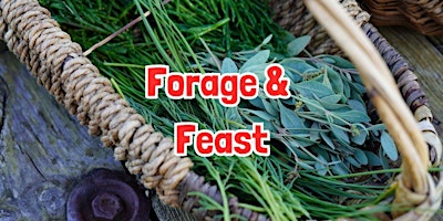 FORAGE & FEAST near Kendal (Cumbria) | Heversham