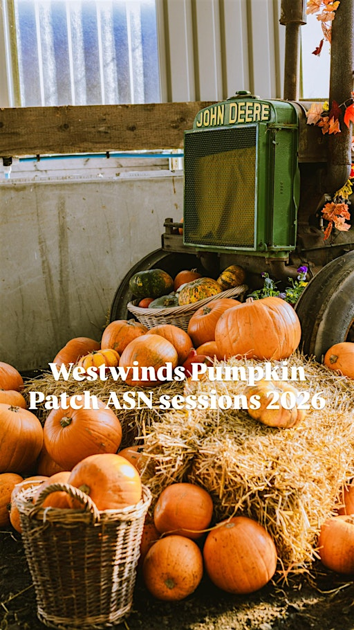 Westwinds Pumpkin Patch ASN sessions 1 ticket per car, not per person | Westwinds Patch