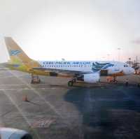 Say Hi to Cebu Pacific!