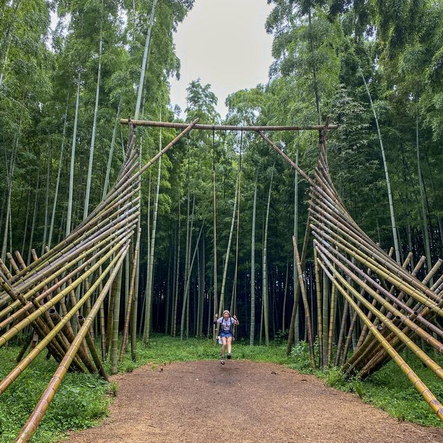 若竹の杜 若山農場 🎋