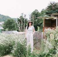 Mori Nature Farm โมริ เนเชอรัลฟาร์ม 