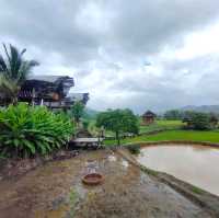 บ้านนอก ฮอกควาย สบายๆ เมืองคอง