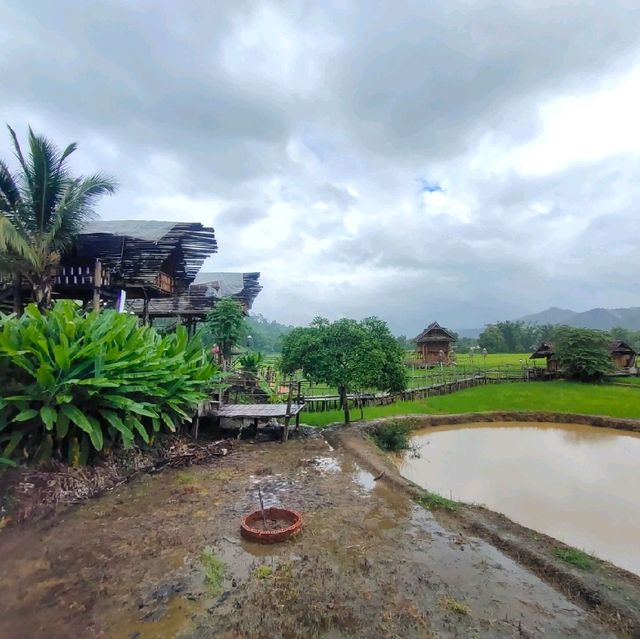 บ้านนอก ฮอกควาย สบายๆ เมืองคอง