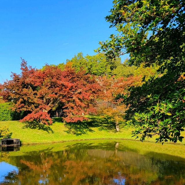 国の名勝の庭園【旧大乗院庭園】