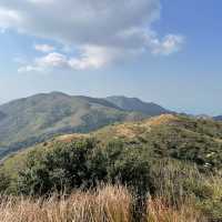 大嶼山看芒草🌾