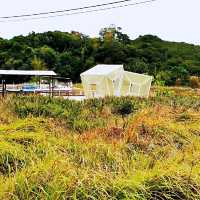 故事小島—鹽田梓
