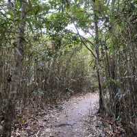The easiest ‘sharp peak in HK’ 