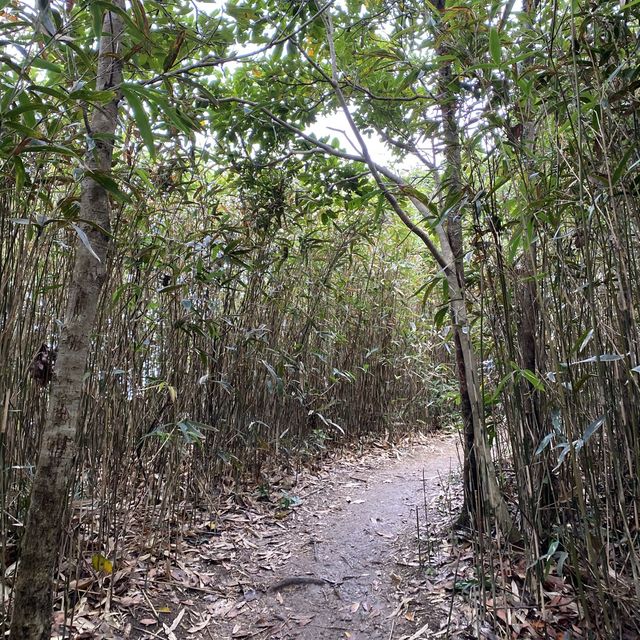 The easiest ‘sharp peak in HK’ 