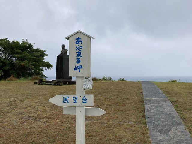 【鹿児島】海に山に！自然を体感できる奄美大島