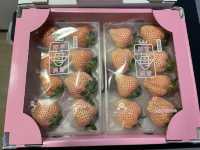 高質水果店🍓🥑🫐🍒🥭
