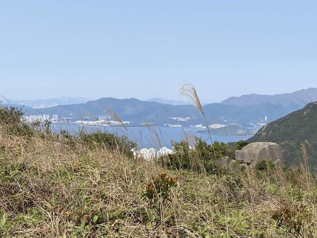 五星級難度⭐️鹿巢石林 