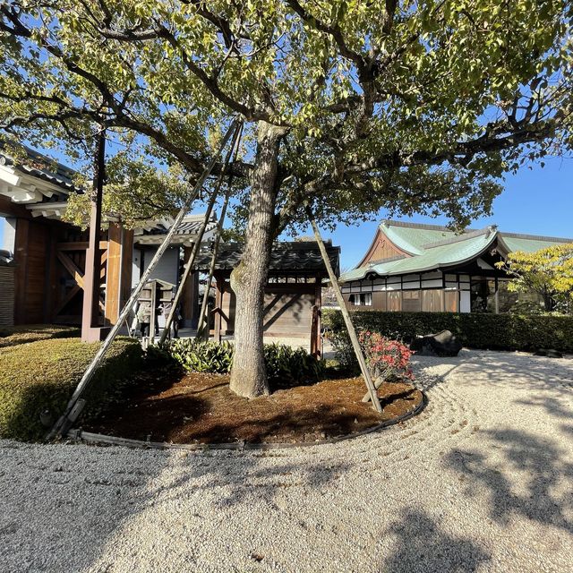 愛知県　清洲城